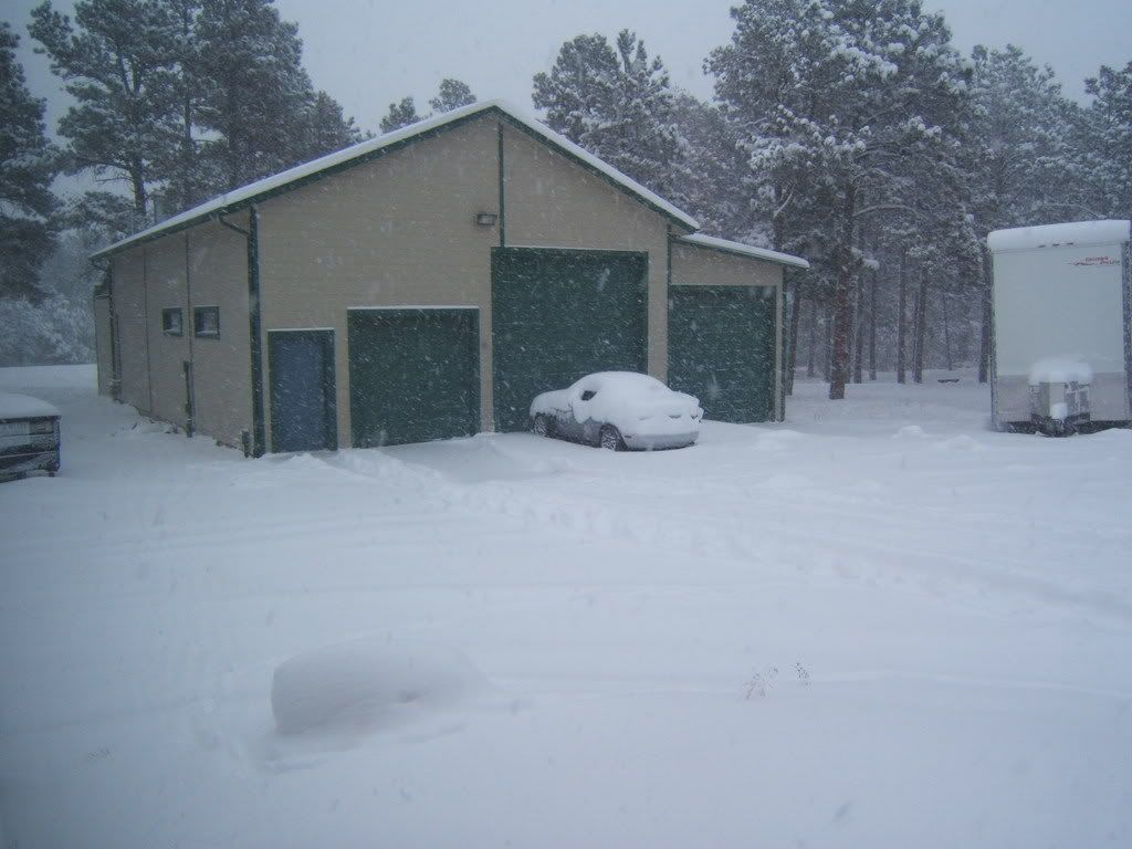 snow11-30-08002.jpg