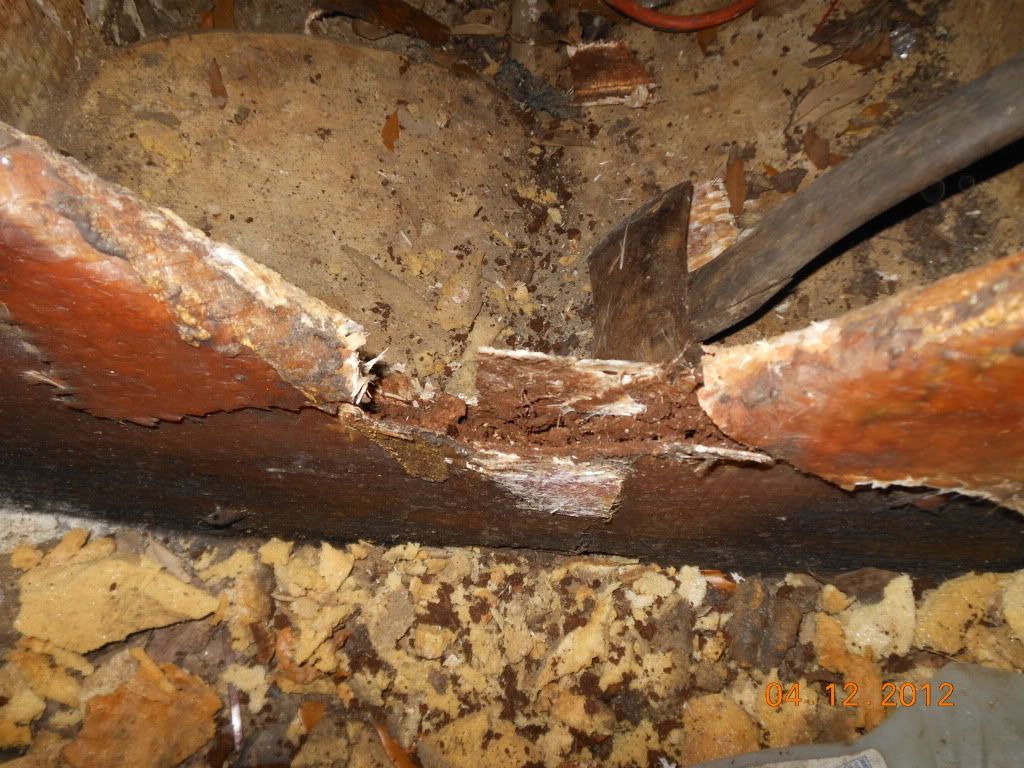 18fishrot002.jpg