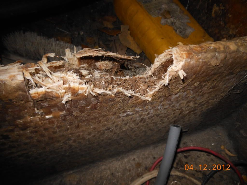 18fishrot003.jpg