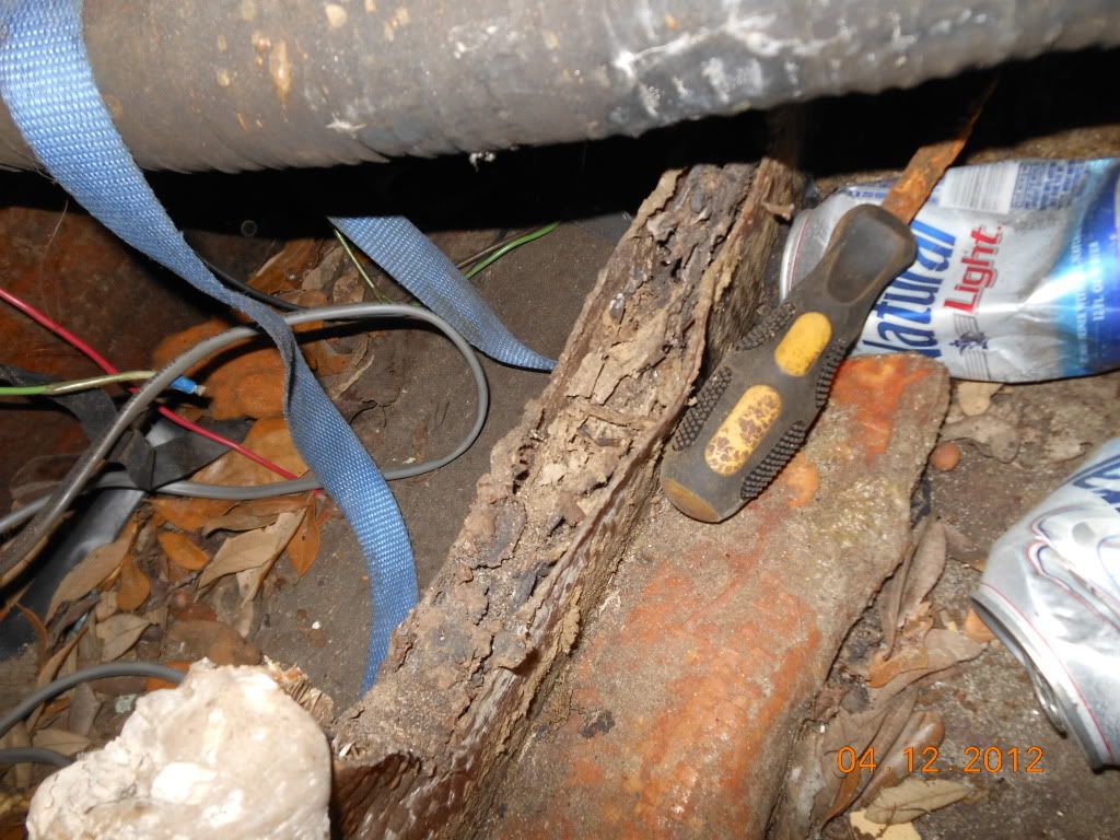 18fishrot004.jpg