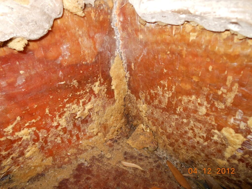 18fishrot005.jpg