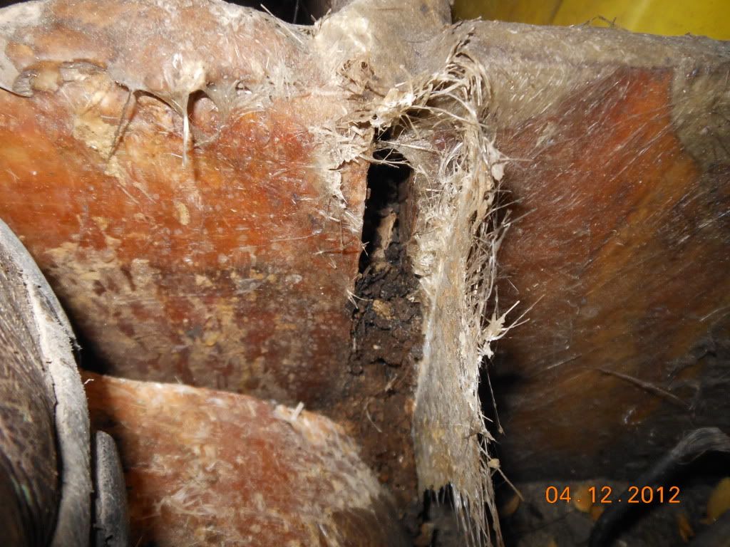 18fishrot006.jpg