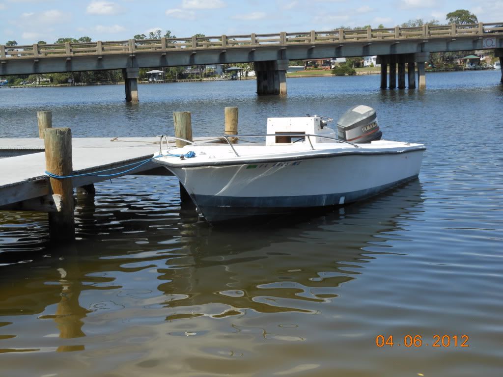 18fishsel002.jpg