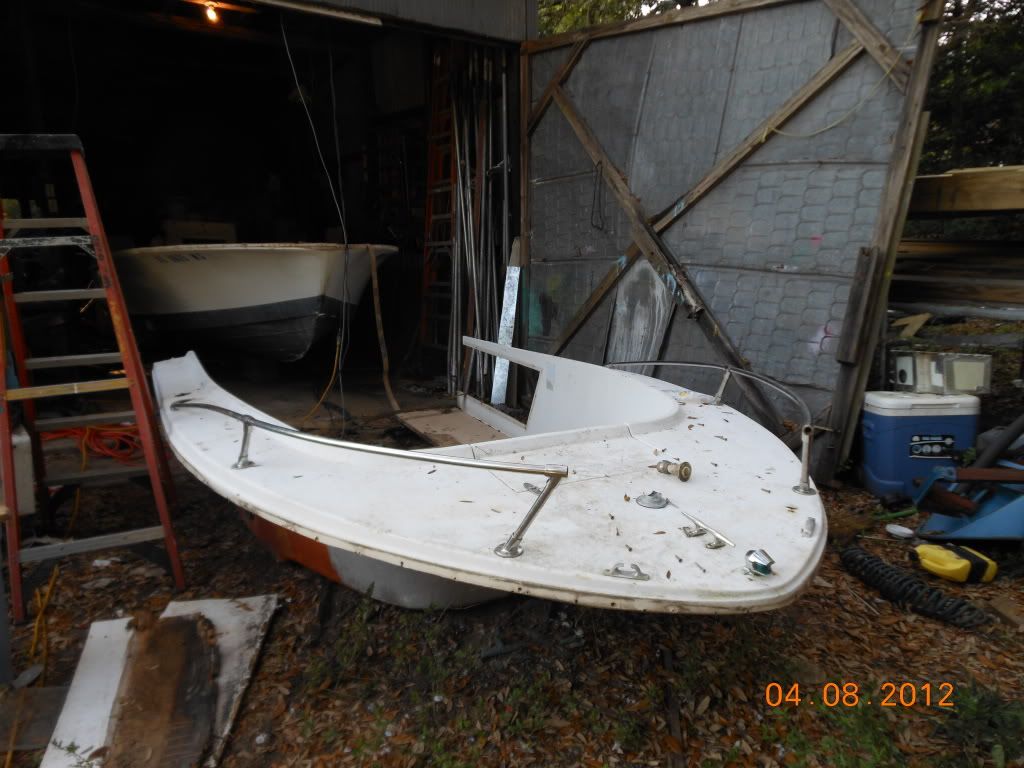 18fishsel003-1.jpg