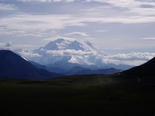 AmazingDenali-1.jpg