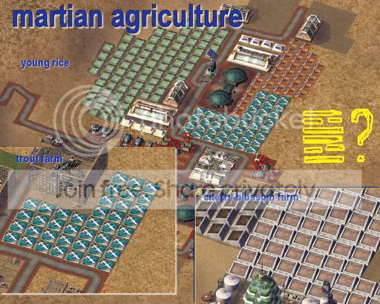BlueMountainFarmProject.jpg
