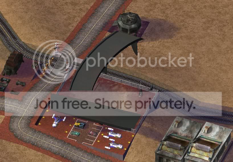 bug1.jpg