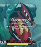 User Image