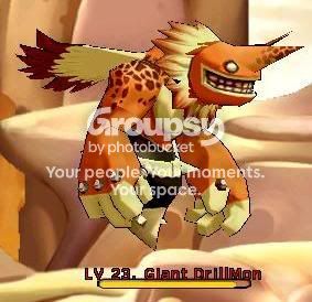 User Image