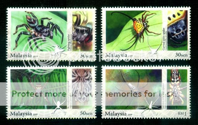 ARACHNIDS OF MALAYSIA Spider Insect Animal Fauna MNH  
