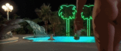 photo showgirls_butt.gif