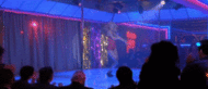 photo showgirls_stage.gif
