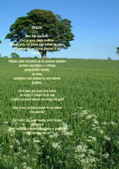 Tree--Northumberland_web-1-2.jpg