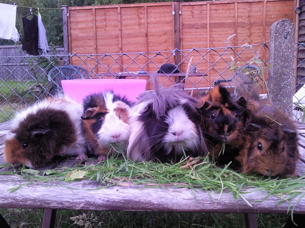 Photo0123.jpg