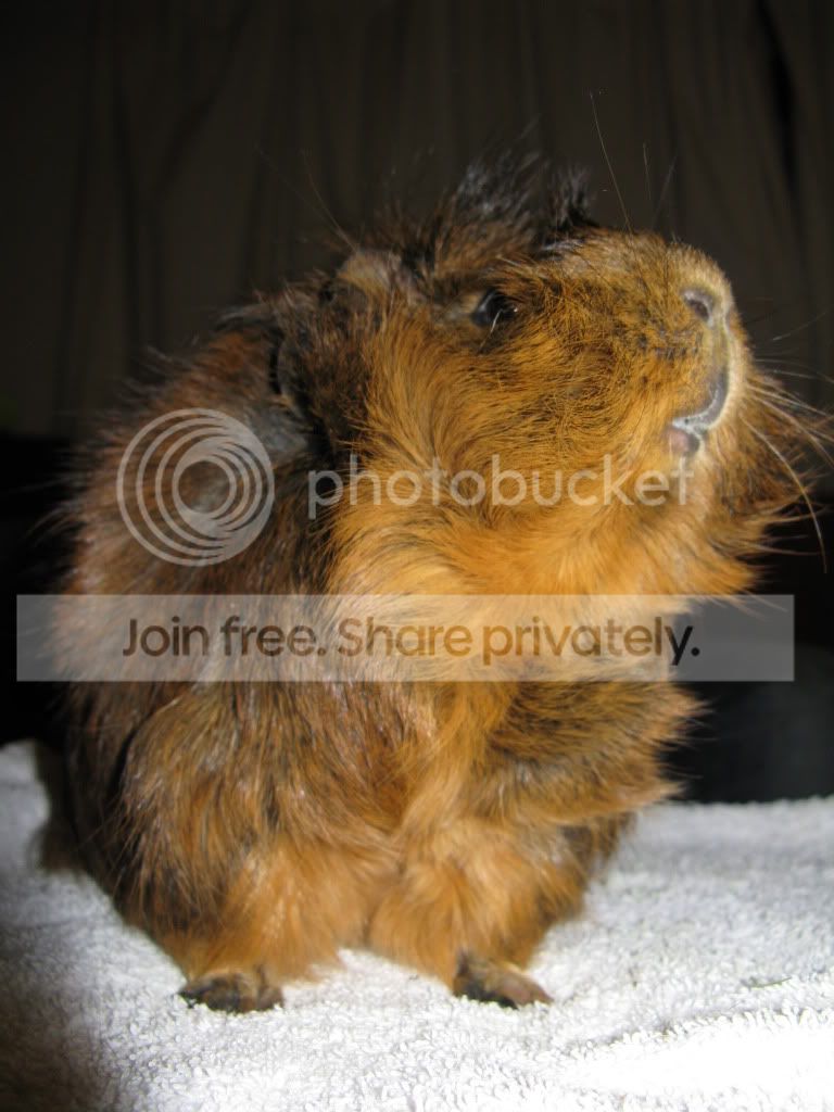 early2010071.jpg