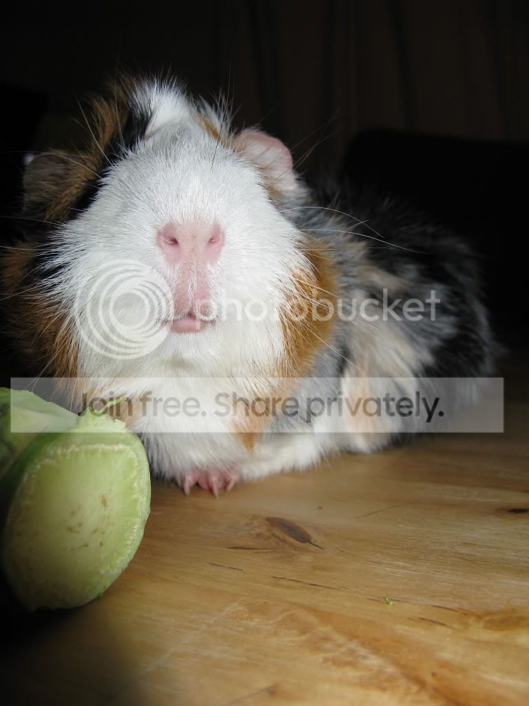 early2010079.jpg