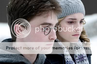 Hermione Potter banner